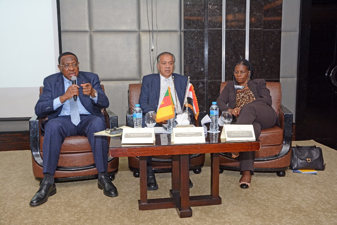 Les rencontres Egypto-Camerounaises des industries : Enjeux et perspectives