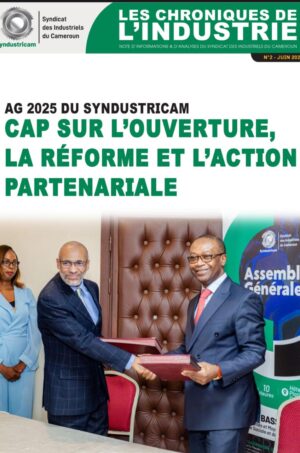 Les chroniques de l’industrie – 002/Juin 2025
