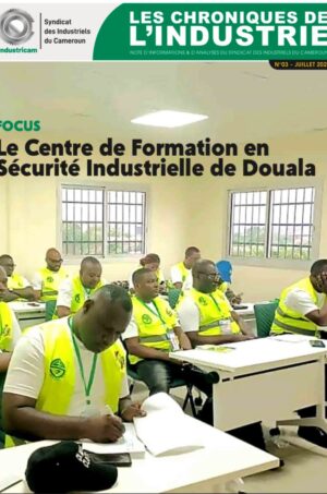 Les chroniques de l’industrie – 003/Juillet 2025